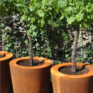 Corten teräskukkalaatikot