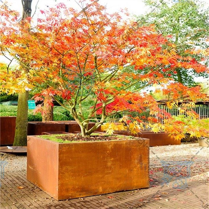 Rusted Metal Planter Boxes