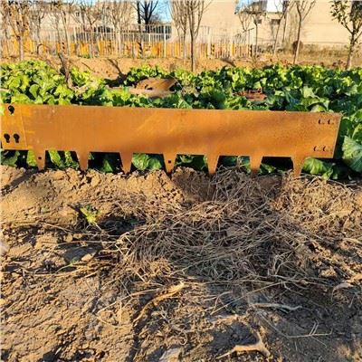 Corten Steel Garden Edge -kukka