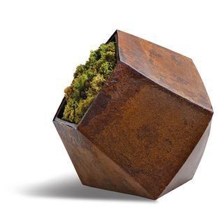 Corten Steel maisemaistutuskone