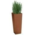 Steel Made Square Planter Box