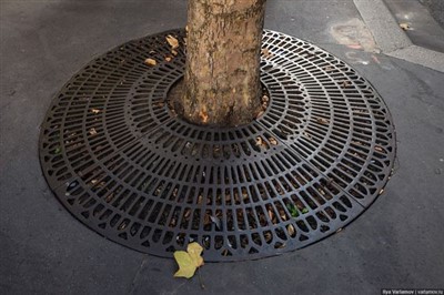 Ulkopuolella jalkakäytävän suojaus metallipuut